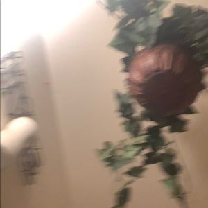 Meet your Posher, Jeanette